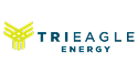 TriEagle logo for SOE homepage